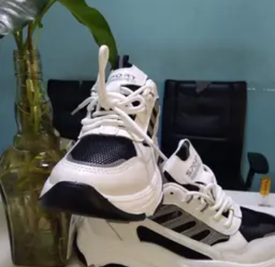 Quantum Energy Shoes